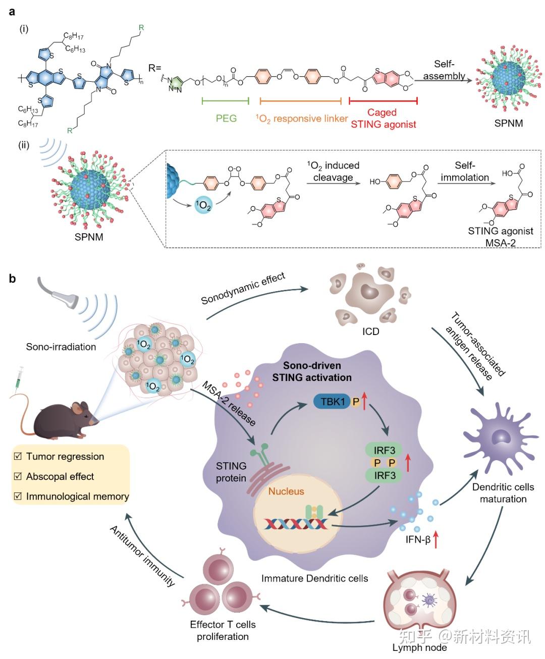 南京大学: 超声驱动STING通路激活用于精准声免疫治疗研究 - 知乎