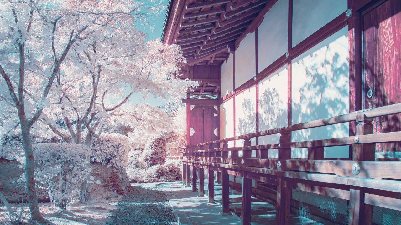 说到底 用日语怎么说 知乎