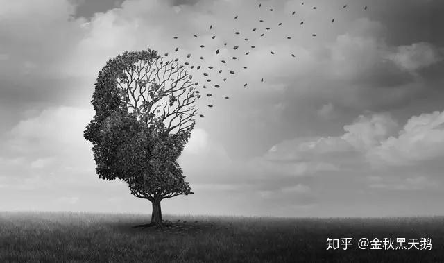 v2-f81e7a98186981f5e701689da988deb2_r.jpg