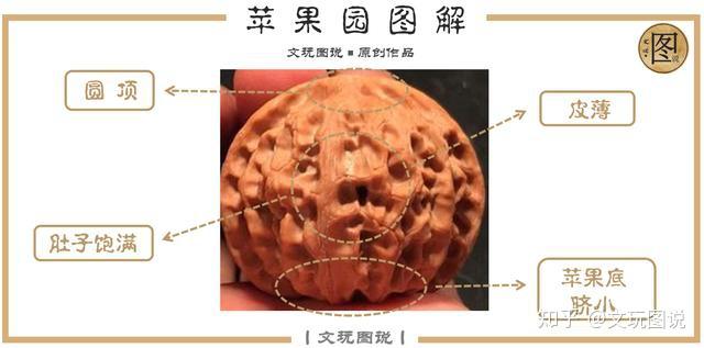 v2-f8213cd641eb44061d0d4816ac8579a6_r.jpg