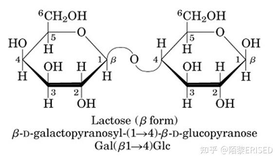 六碳糖结构图图片