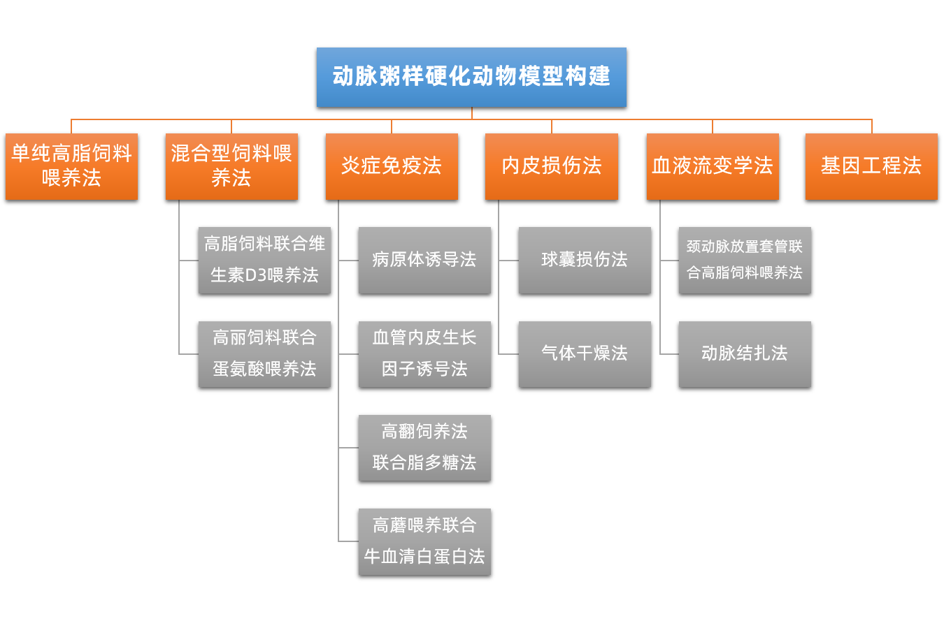 【新品推荐】AAV-PCSK9构建动脉粥样硬化模型 - 知乎