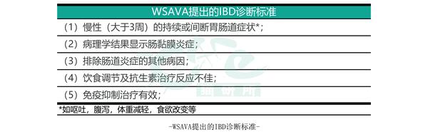 猫咪常见病系列u2014u2014炎性肠病- 知乎