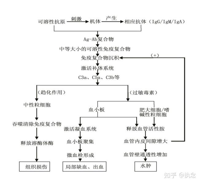 医学免疫学复习（自整理复习用） - 知乎