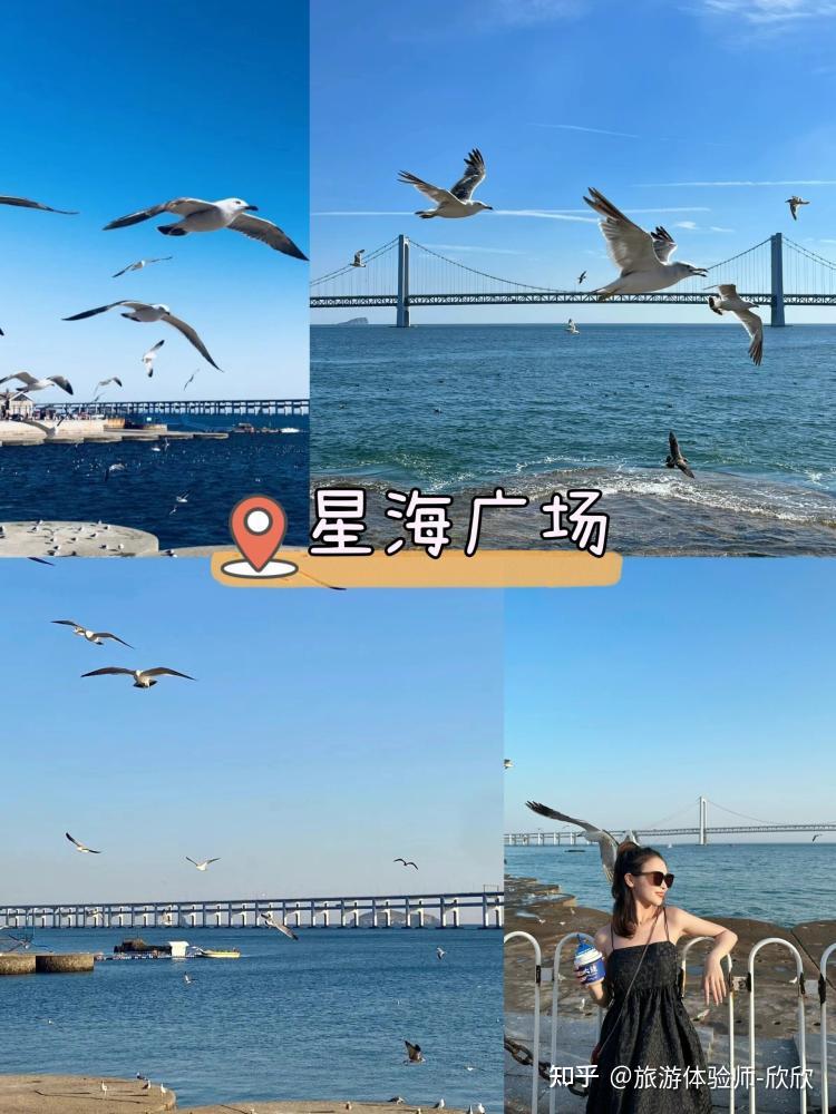 怎么玩的省心省力还省钱——超省心的辽宁大连自由行攻略!