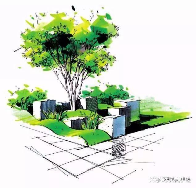 马克笔植物手绘教程案例分享
