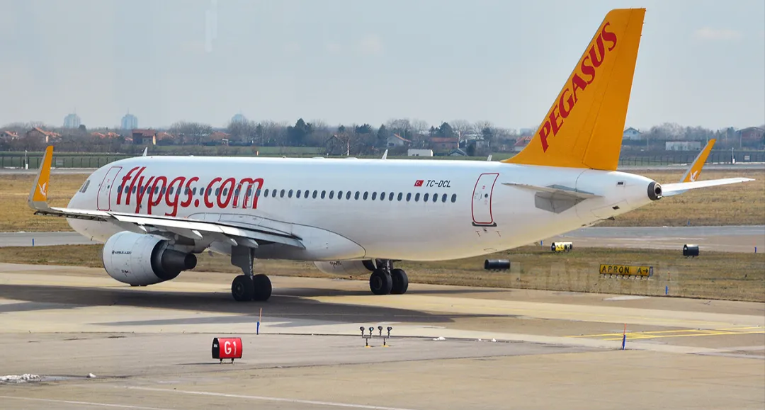 图:飞马爱空客澳大利亚航空也开始放弃波音采用空客,上个月它订购了20