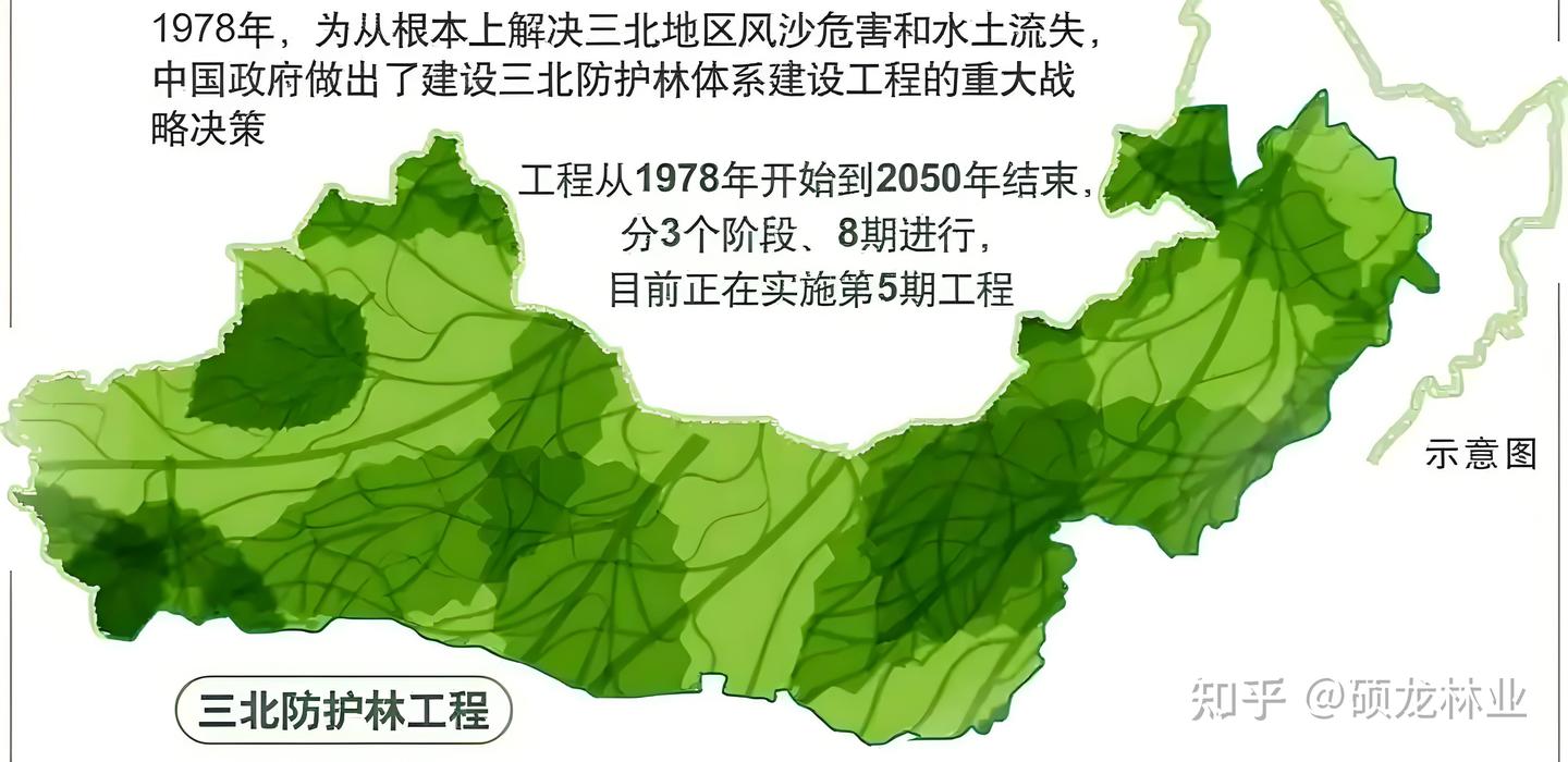 三北工程2025攻坚：给荒漠穿上绿衣裳，让百姓腰包鼓起来 - 知乎