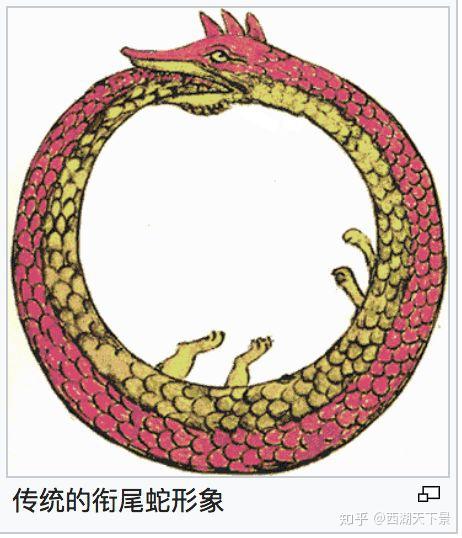 衔尾蛇组织图片