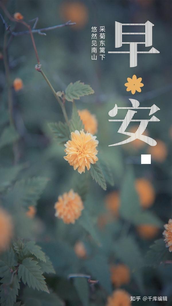 早晚安日签海报:你要快乐,在每一个清晨或傍晚! - 知乎