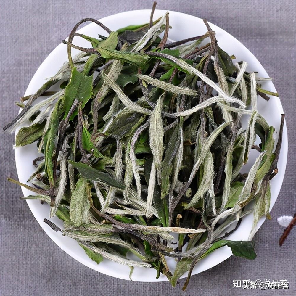 白牡丹白茶的价格多少钱一斤？不同年份的白牡丹参考价多少钱？ - 知乎