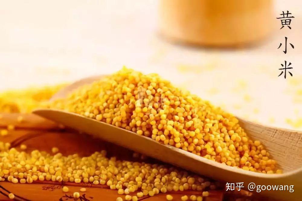 粽子的前世今生,你知道吗? - 知乎