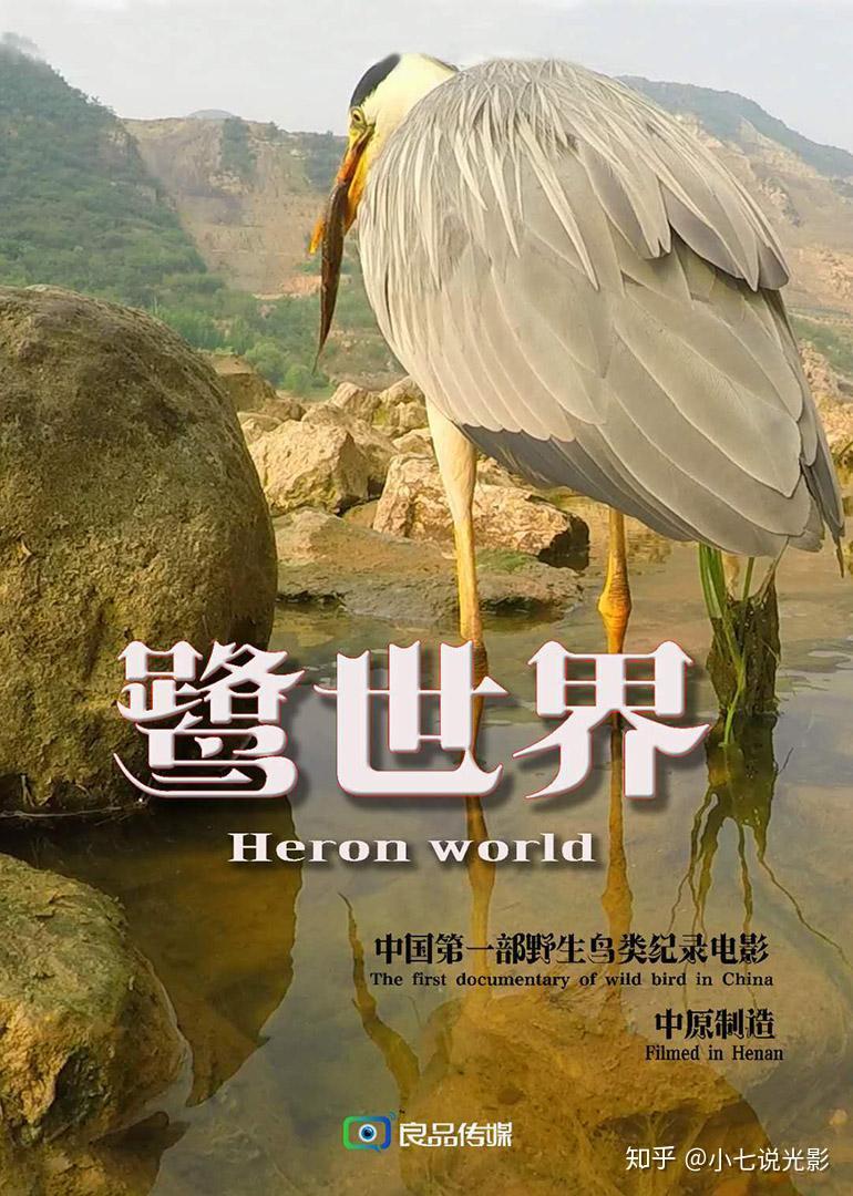 鹭世界幕后团队五年的努力成就了它们最好的演技