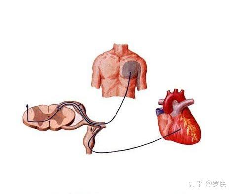 什么病引起肩膀疼痛的症状 v2-f8955d9ddb5840f0eb4063149ae57772_r.jpg