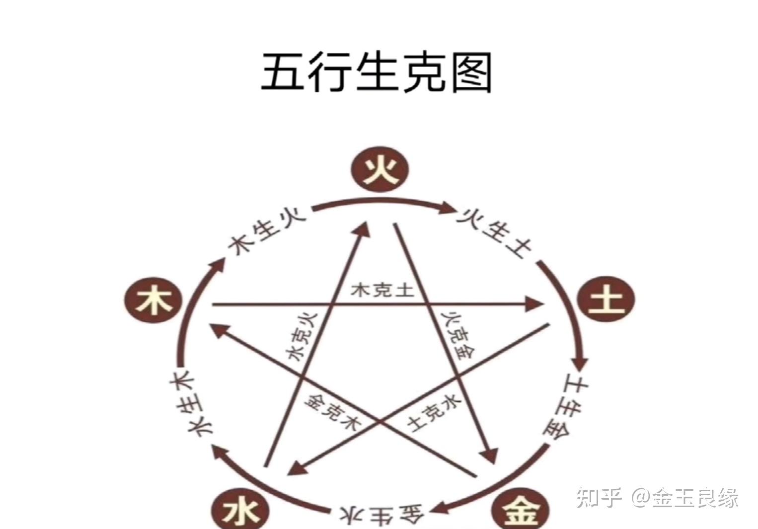 五行论 - 知乎