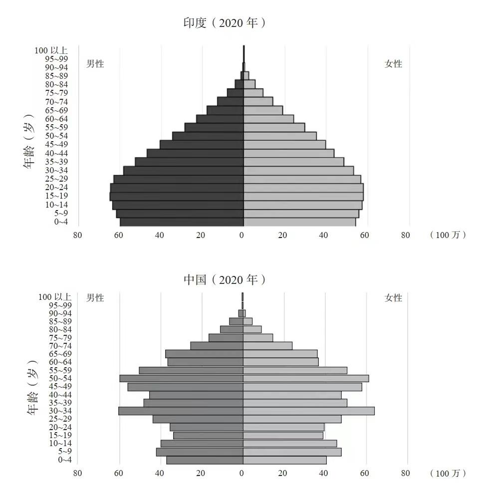 2020 年的人口金字塔当印度在 2040 年达到中等收入国家水平时,印度将