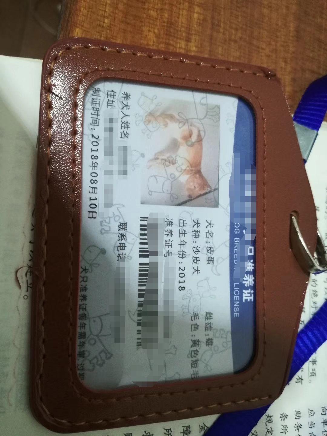 如何看待异烟肼毒狗的行为?