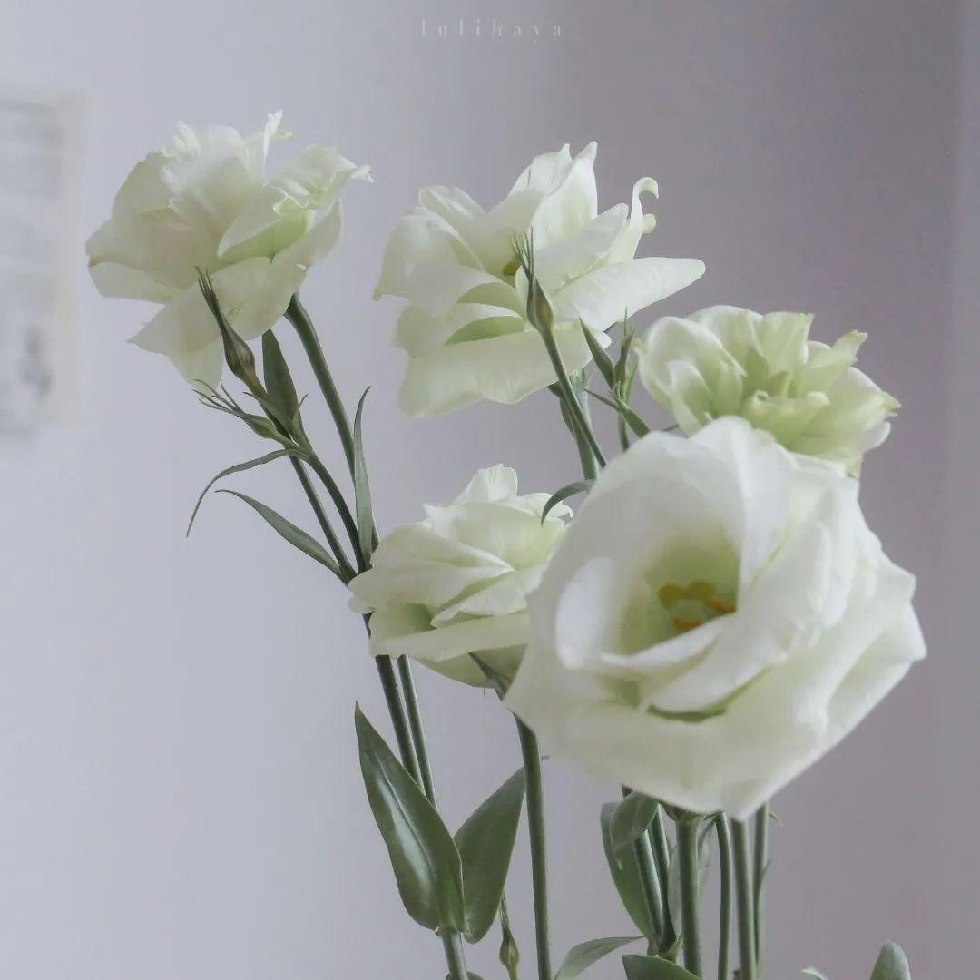 有什么看起来很舒服高级的微信背景图?