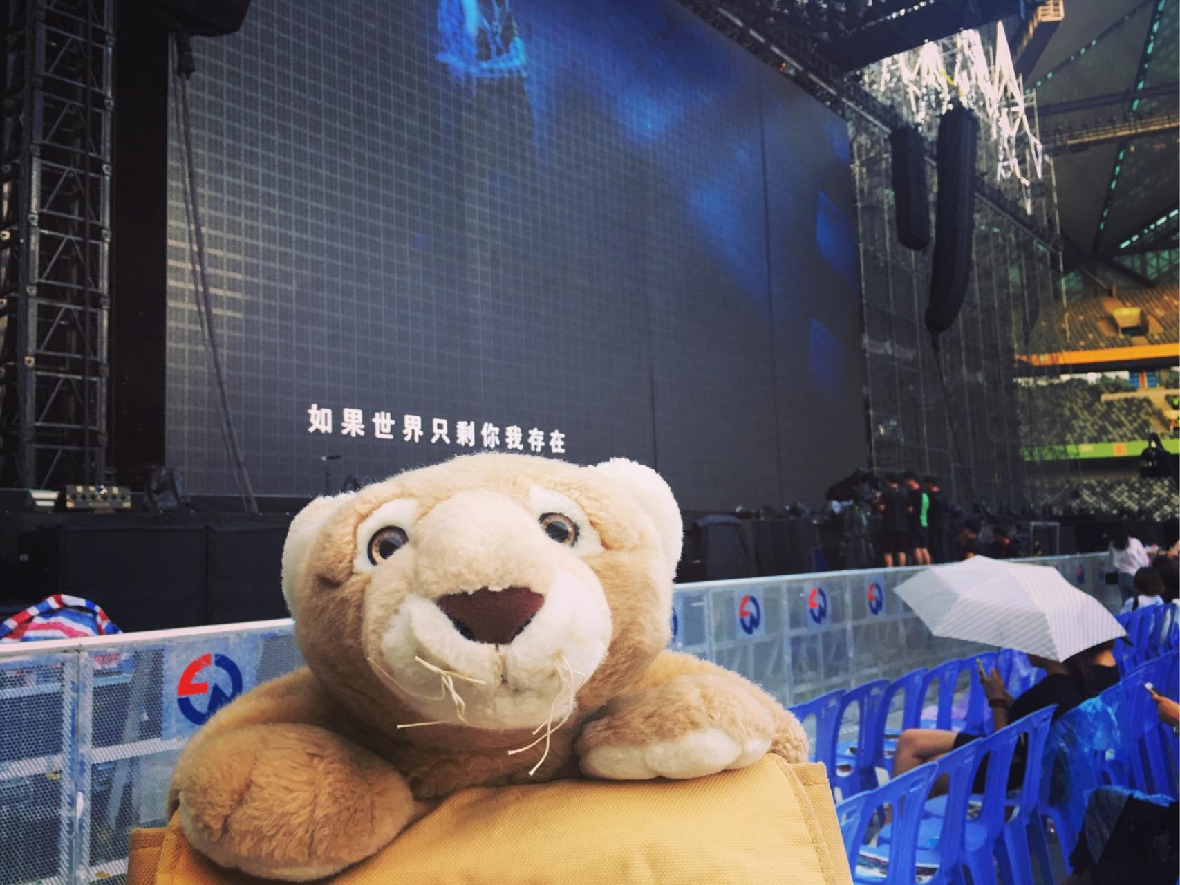 自己一个人去看五月天演唱会是一种什么体验?