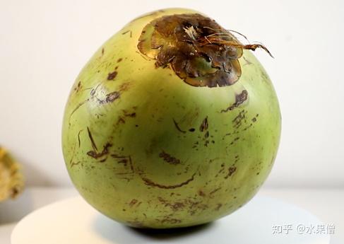 第4篇椰子全家福青椰椰皇椰宝红椰的区别