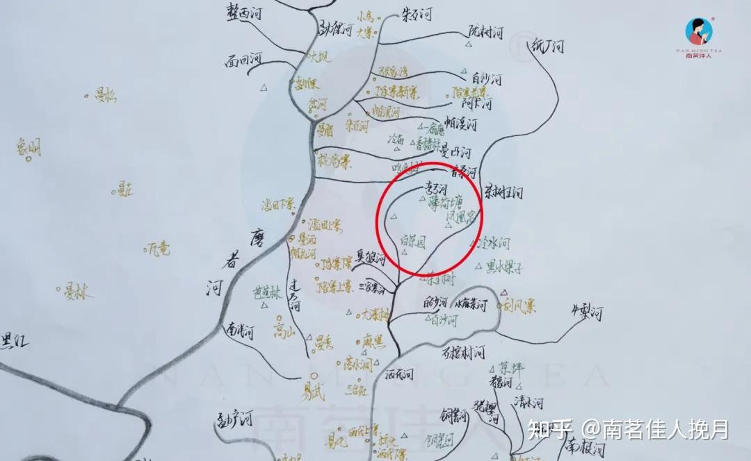 薄荷塘、凤凰窝、白茶园、弯弓口感有什么区别? - 知乎