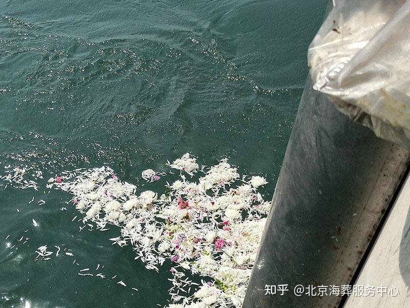 2024年北京海葬一对一全部费用大概多少钱?有什么限制吗?多长时间可以海撒? - 知乎