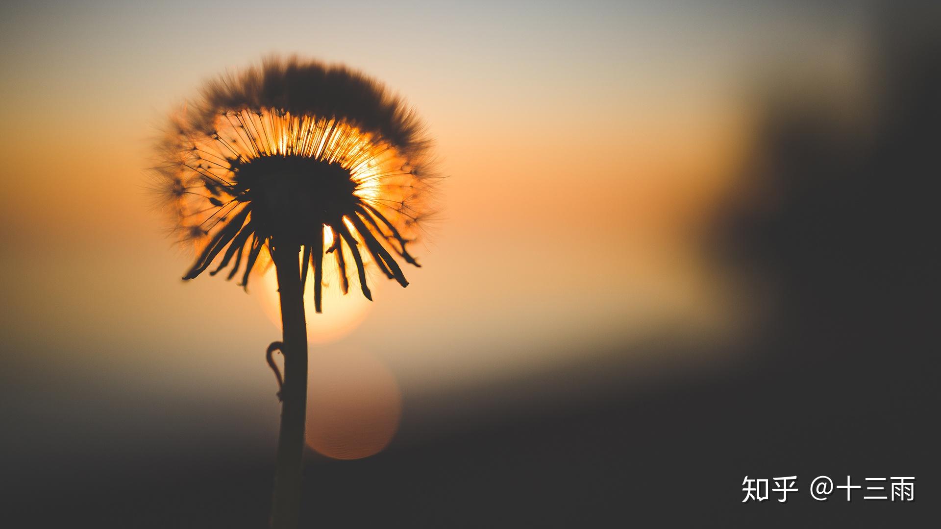 怎样让自己变成一个有锋芒的人 v2-f8f208efe214f0282ce42c7948e1198e_r.jpg