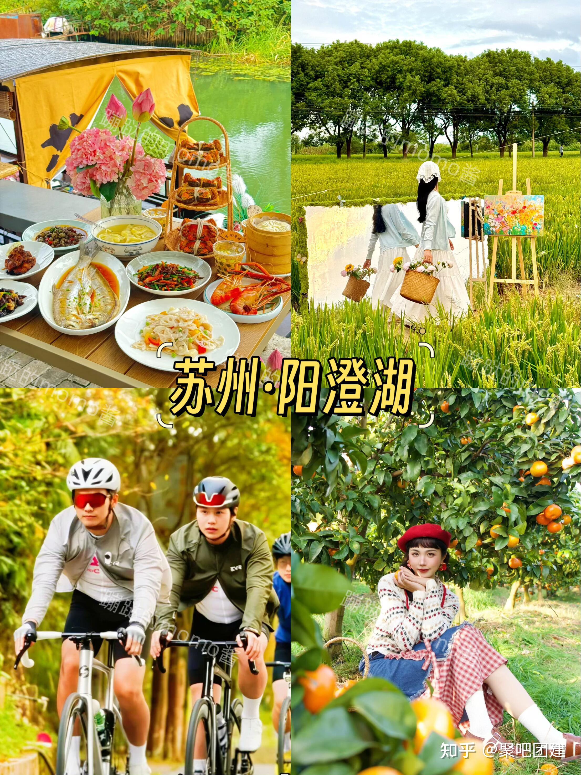 10-11月杭州团建合集 6大方案+行程📑速存|||惬意的秋季🍂简直是团建的好时间 - 知乎