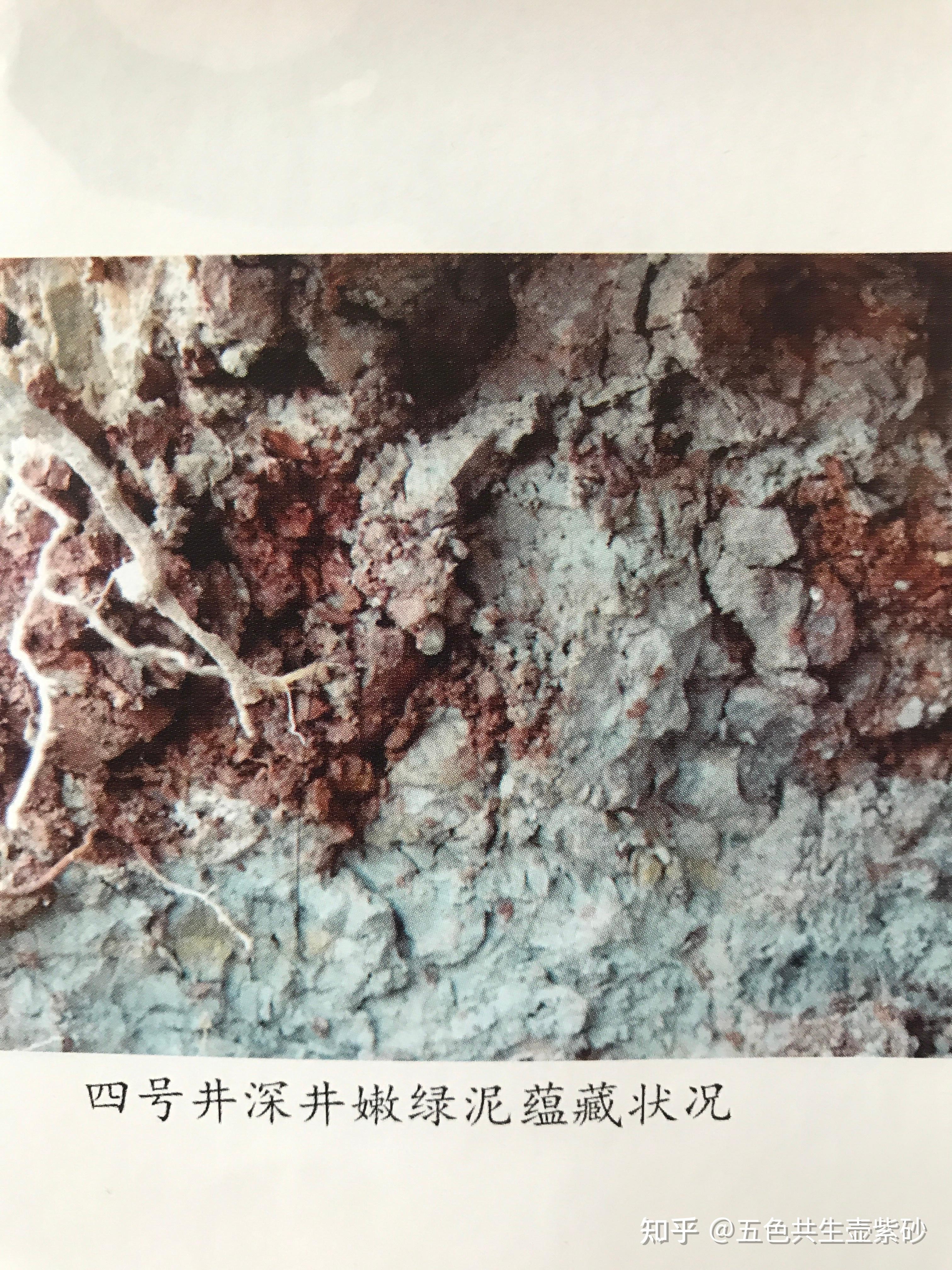 宜兴黄龙山绿泥类紫砂矿料的特性概述?(第二节) - 知乎