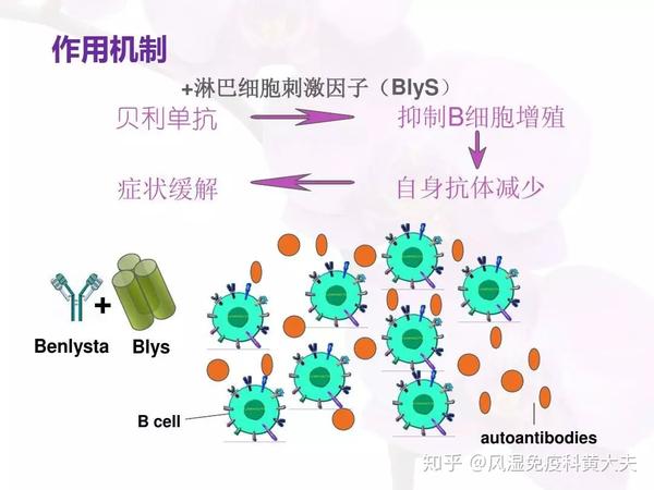 治疗系统性红斑狼疮新武器—贝利尤单抗在中国正式上市