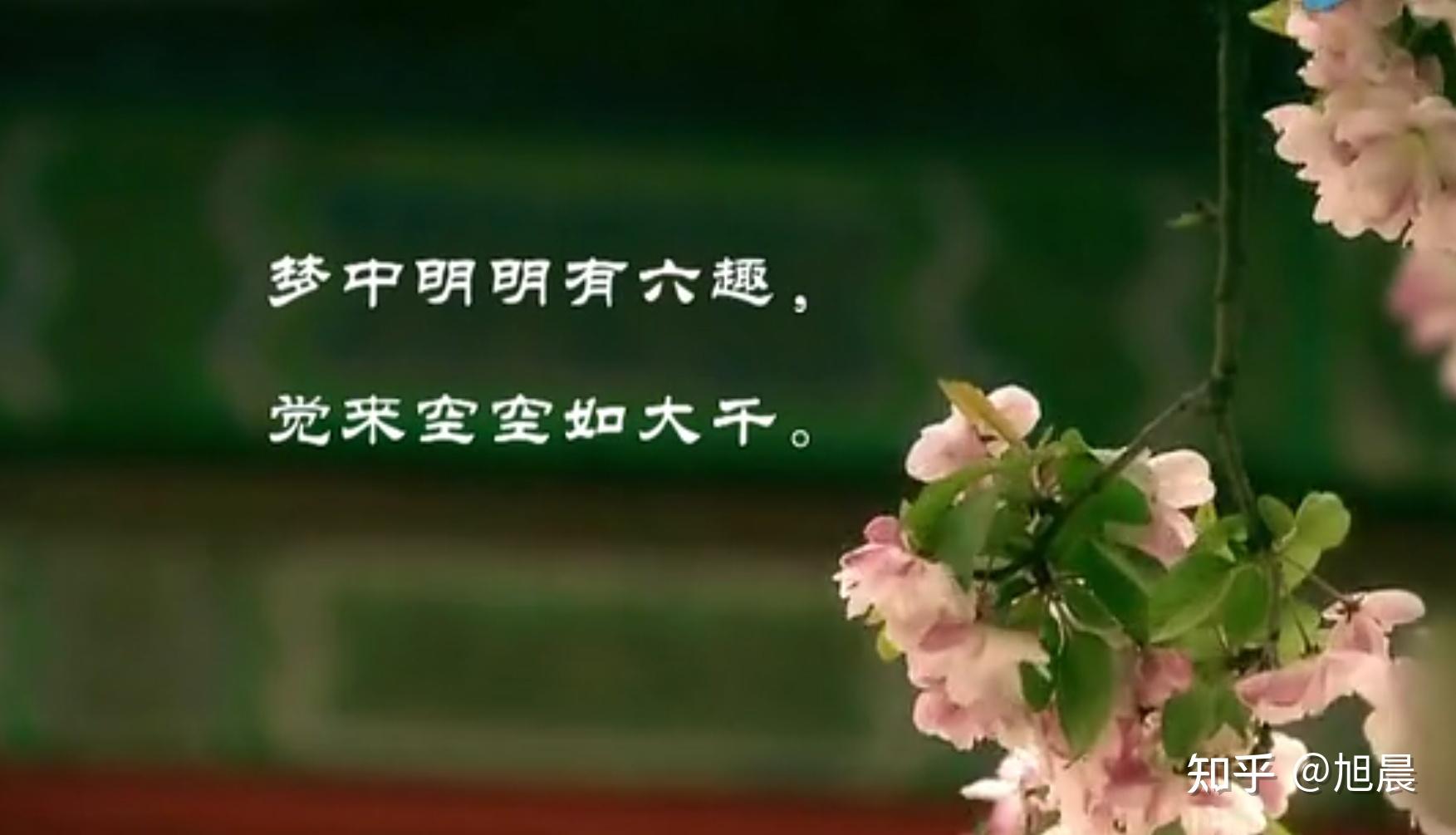 放过别人是慈放过自己是悲