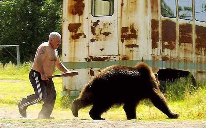 棕熊突袭俄罗斯钓友被反杀,战斗民族如此彪悍?太小看棕熊了