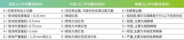银屑病小贴士一之BSA、PASI和PGA评分详解 - 知乎