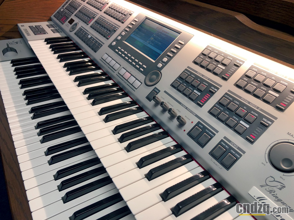 2022年3月吟飞ringway发布海外双排键电子管风琴