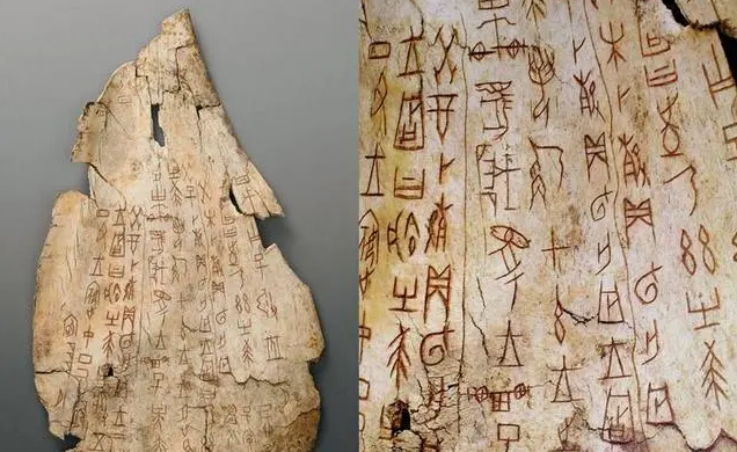 关于帝辛不甲骨文记载