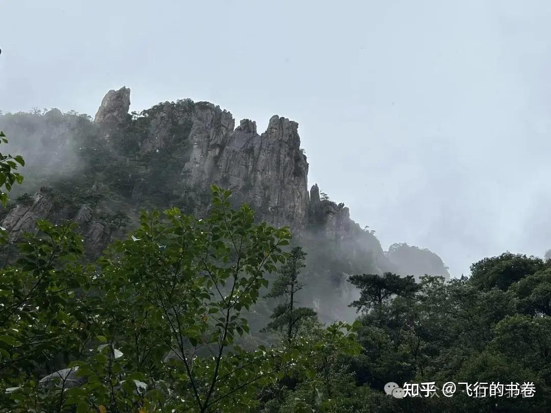 黄山雨中独行记(一):从云谷寺徒步到白鹅岭,一路有啥美景? - 知乎