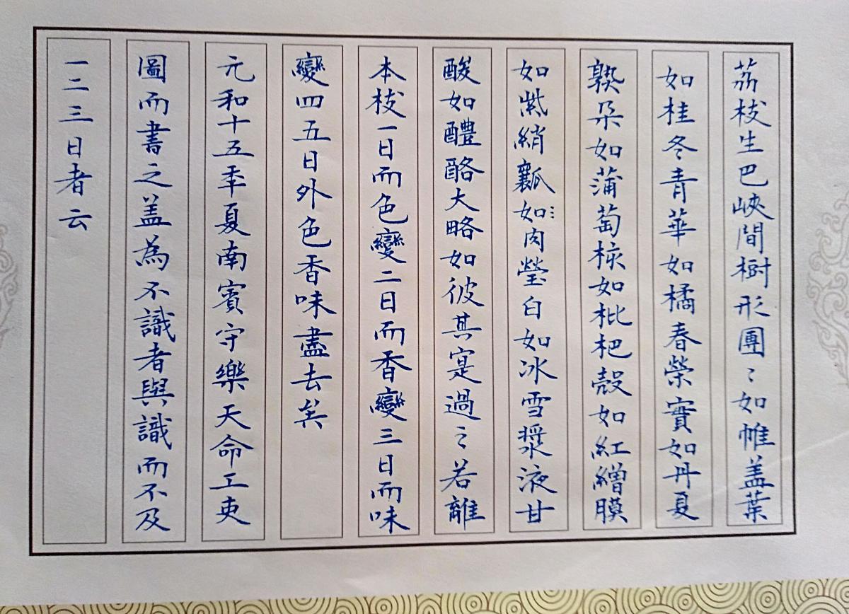 硬筆字練習之路