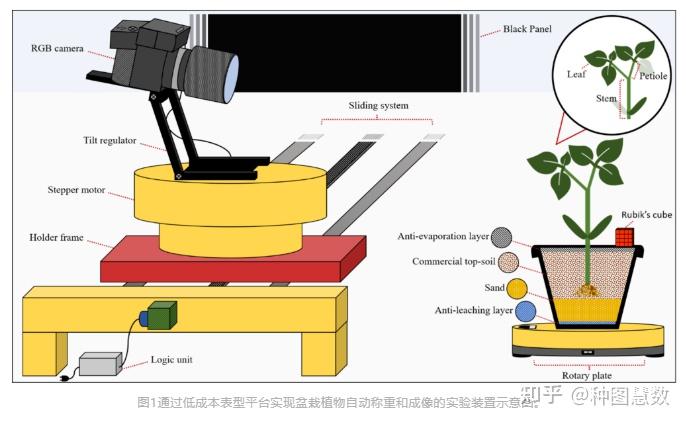 [植物表型技术】通过植物三维建模实现自动表型分析 - 知乎