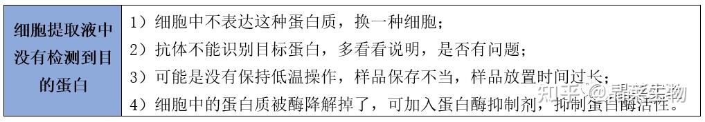 【5分钟讲透实验】影响WB实验结果的因素综述 - 知乎