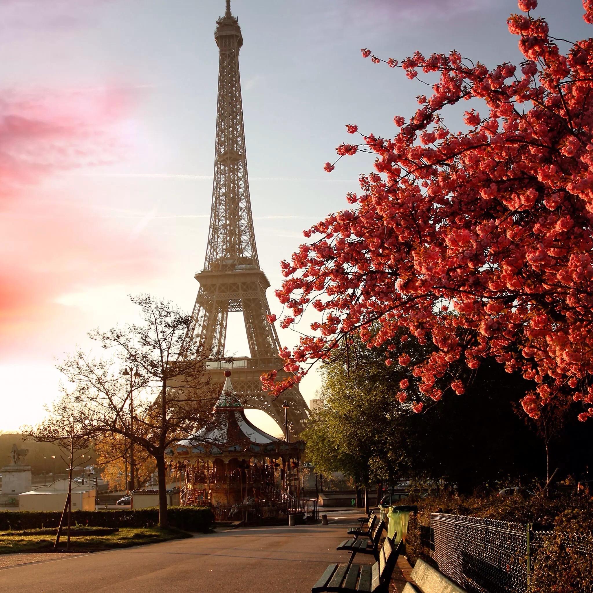 有没有ipadmini5能用的壁纸