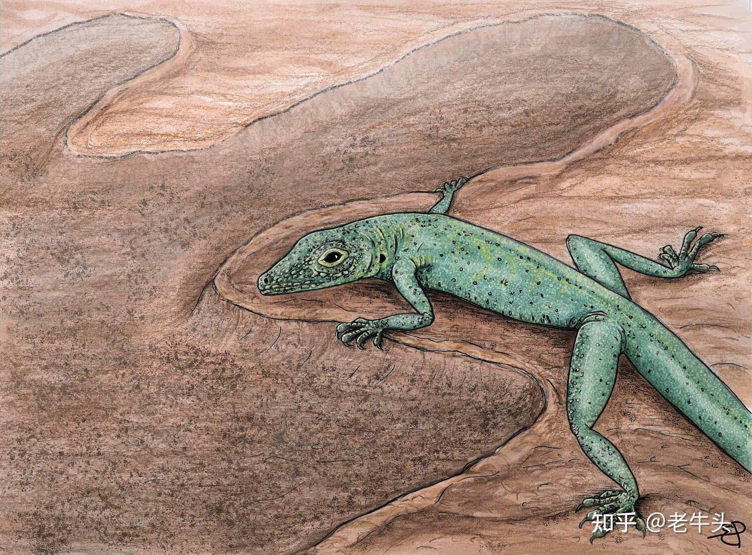 古生物新闻(2022年10月24日-11月6日) - 知乎