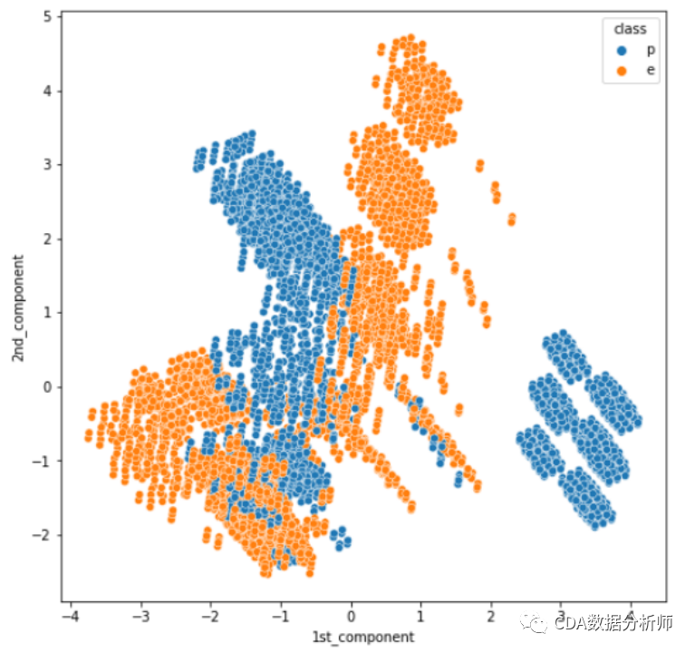  t sne python 