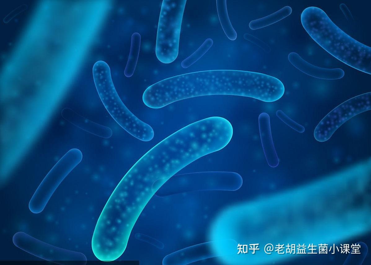 益生菌原来你是万人迷