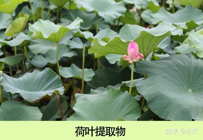 v2-f9a2bdf3b74030210de81a6633505bda_r.jpg