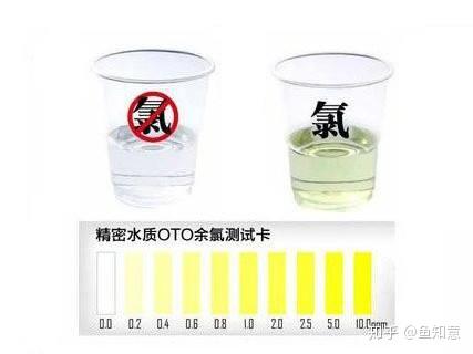 我养的鱼为啥老是死呢下