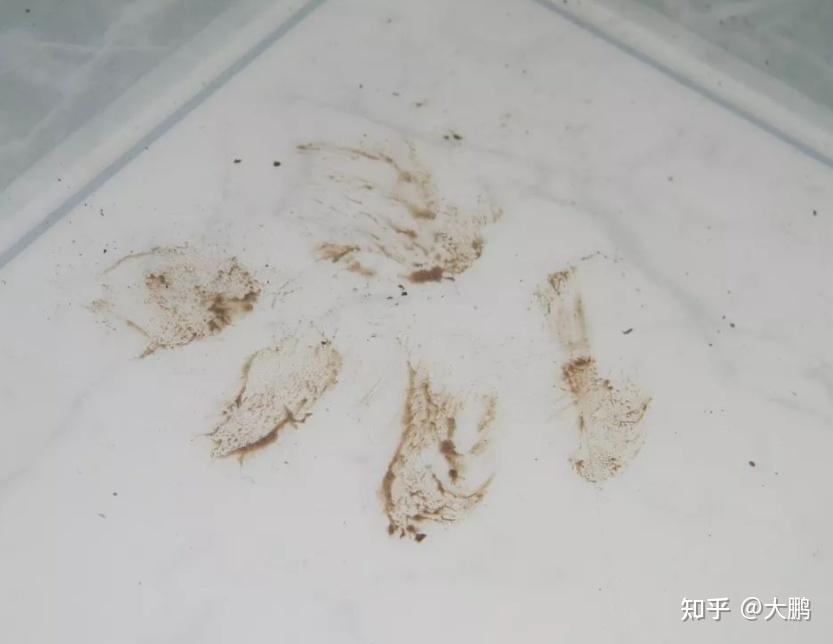 如果地只是有一点脏,例如浮土,头发之类的,用吸尘器倒是个好选择.