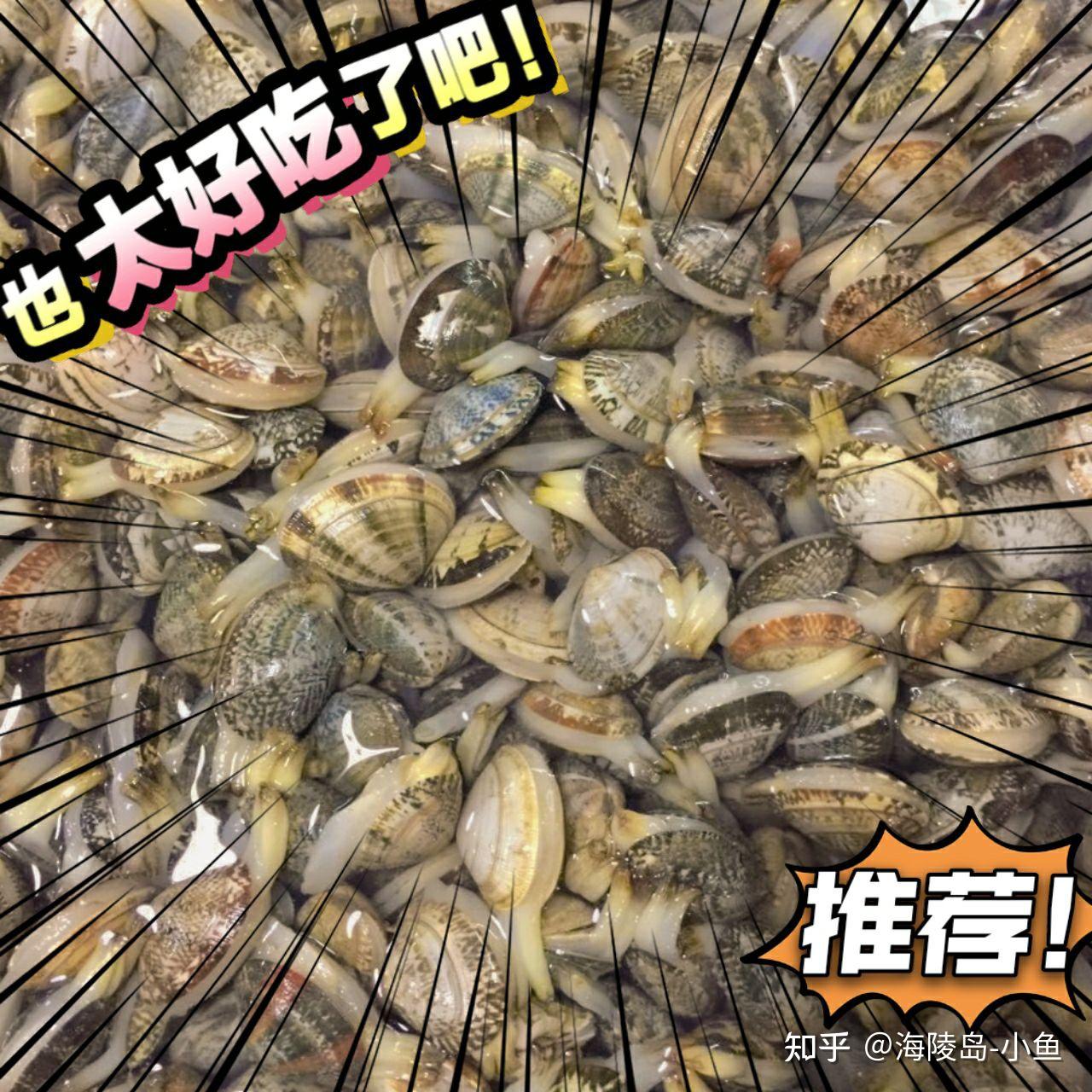 来海陵岛必吃的海鲜6315干货满满快来围观75