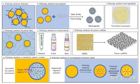 Carbohydrate Polymers综述:壳聚糖基Pickering乳液的稳定剂、生物利用度、应用和相关法规 - 知乎