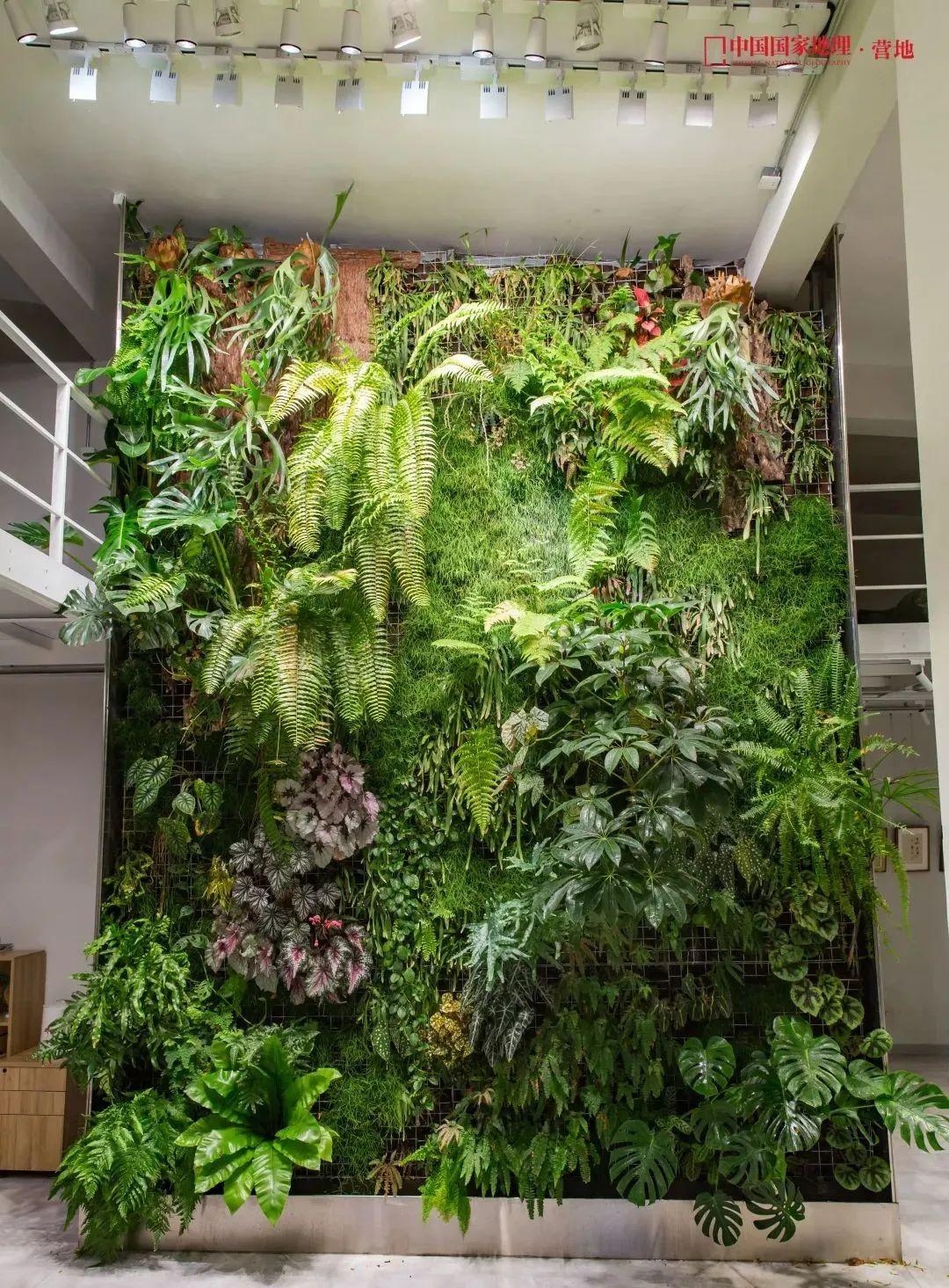 科旅中国 嵊泗花鸟 | 水哥王昱珩:体验美,在于发现美和营造美 - 知乎