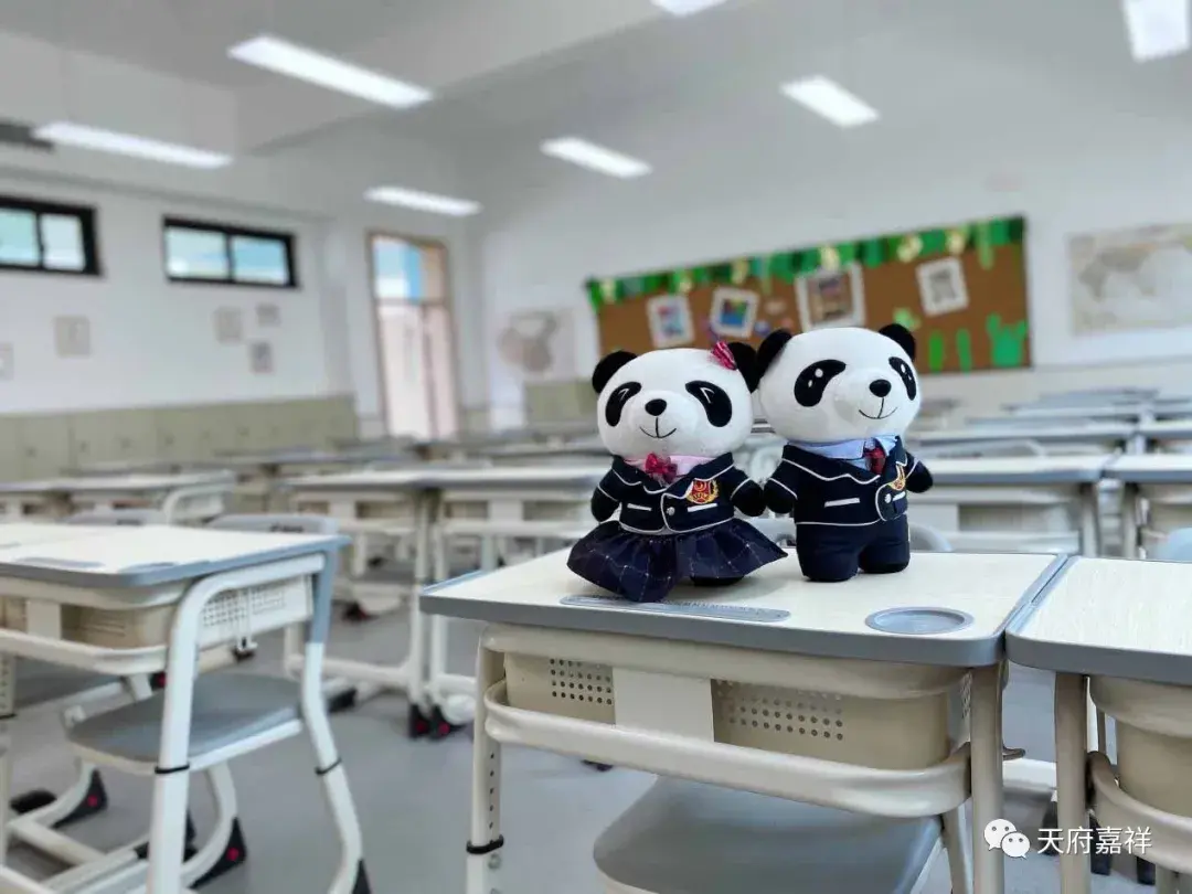 熊猫带你探新嘉天府嘉祥校园情况展示